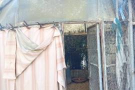 SALE of Country House in Elche.