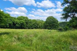 House with Land near Bussiere-Poitevine in the Haute Vienne