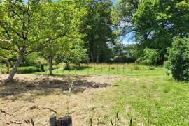 House with Land near Bussiere-Poitevine in the Haute Vienne