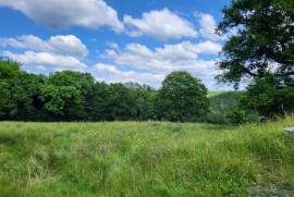 House with Land near Bussiere-Poitevine in the Haute Vienne