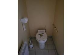 House with Land near Bussiere-Poitevine in the Haute Vienne