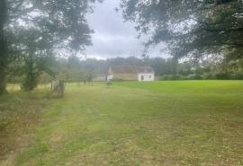 Renovated 3-Bed House for Sale in Coulonges - Vienne