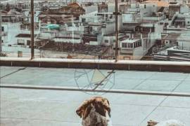 Refurbished 3 + 1 Bedroom Apartment in Rio Park Residence Condominium | Panoramic View of the Arade River – Portimão