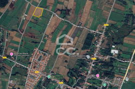 Land Ribeira Grande PICO DA PEDRA