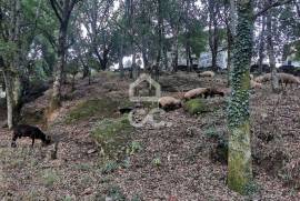 Farmhouse Vieira do Minho Farmhouse Vieira do Minho