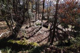 Farmhouse Vieira do Minho Farmhouse Vieira do Minho