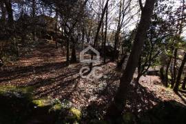 Farmhouse Vieira do Minho Farmhouse Vieira do Minho