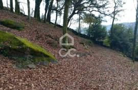 Farmhouse Vieira do Minho Farmhouse Vieira do Minho