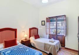 Licensed Tourism Investment in Tierra de Barros | Manor House