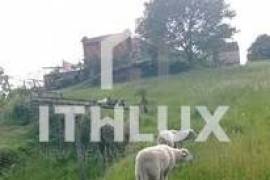 Farm in Fornelos, Cinfães – 7 hectares of land Farm in Fornelos, Cinfães – 7 hectares of land