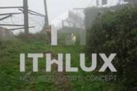 Farm in Fornelos, Cinfães – 7 hectares of land Farm in Fornelos, Cinfães – 7 hectares of land