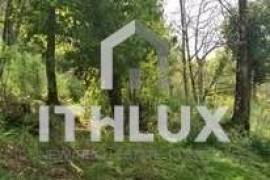 Farm in Fornelos, Cinfães – 7 hectares of land Farm in Fornelos, Cinfães – 7 hectares of land