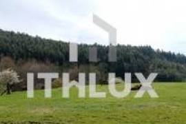 Farm in Fornelos, Cinfães – 7 hectares of land Farm in Fornelos, Cinfães – 7 hectares of land