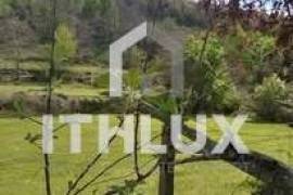 Farm in Fornelos, Cinfães – 7 hectares of land Farm in Fornelos, Cinfães – 7 hectares of land