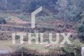 Farm in Fornelos, Cinfães – 7 hectares of land Farm in Fornelos, Cinfães – 7 hectares of land