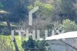 Farm in Fornelos, Cinfães – 7 hectares of land Farm in Fornelos, Cinfães – 7 hectares of land