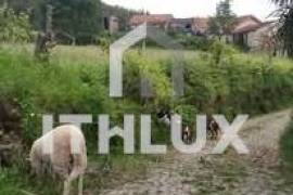 Farm in Fornelos, Cinfães – 7 hectares of land Farm in Fornelos, Cinfães – 7 hectares of land