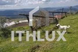 Farm in Fornelos, Cinfães – 7 hectares of land Farm in Fornelos, Cinfães – 7 hectares of land