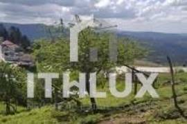 Farm in Fornelos, Cinfães – 7 hectares of land Farm in Fornelos, Cinfães – 7 hectares of land