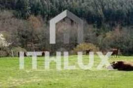 Farm in Fornelos, Cinfães – 7 hectares of land Farm in Fornelos, Cinfães – 7 hectares of land