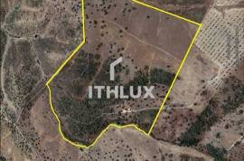Rustic Land with 33 Hectares next to Alqueva – Póvoa de São Miguel, Moura (Beja)