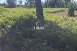 Construction Land – Cabeceiras de Basto | Painzela (Baloutas)