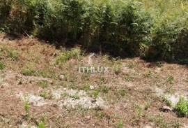 Land in Cabeceiras de Basto, Painzela (Baloutas)