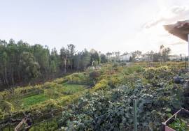 6 bedroom farm in Amarante 6 bedroom farm in Amarante