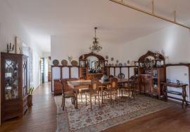 6 bedroom manor house in Amarante