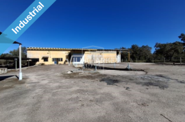 Warehouse with 878m2 on a plot of 11,310 m2 located near Chamusca