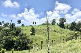 Gorgeous Acreage With Brilliant Views Gorgeous Acreage With Brilliant Views