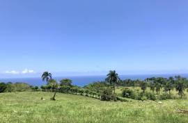 Gorgeous Acreage With Brilliant Views Gorgeous Acreage With Brilliant Views