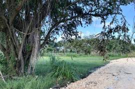 Seaside Residential Lots Near Cabrera Seaside Residential Lots Near Cabrera