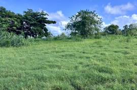 Seaside Residential Lots Near Cabrera Seaside Residential Lots Near Cabrera