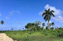 Seaside Residential Lots Near Cabrera