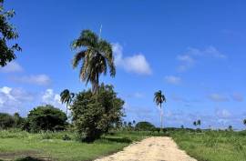 Seaside Residential Lots Near Cabrera Seaside Residential Lots Near Cabrera