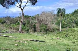 Land For Sale Across From Playa Grande Land For Sale Across From Playa Grande
