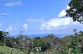 Land For Sale Across From Playa Grande