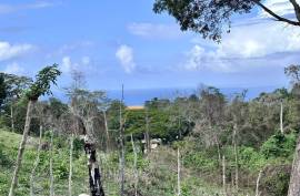 Land For Sale Across From Playa Grande Land For Sale Across From Playa Grande