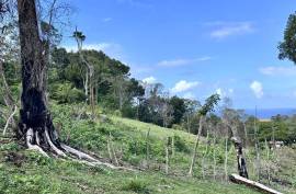 Land For Sale Across From Playa Grande Land For Sale Across From Playa Grande