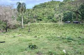 Land For Sale Across From Playa Grande Land For Sale Across From Playa Grande