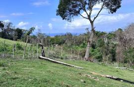 Land For Sale Across From Playa Grande Land For Sale Across From Playa Grande