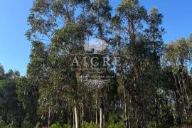 Excellent investment opportunity in Canha – Montijo