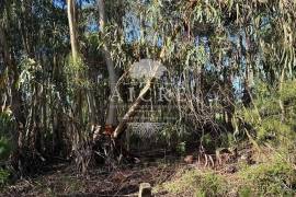 Excellent investment opportunity in Canha – Montijo