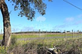 Excellent investment opportunity in Canha – Montijo