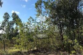 Excellent investment opportunity in Canha – Montijo