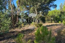 Excellent investment opportunity in Canha – Montijo