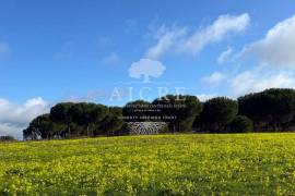 Excellent investment opportunity in Canha – Montijo