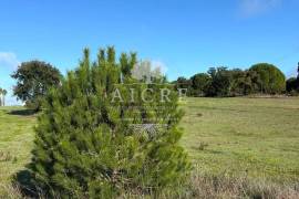 Excellent investment opportunity in Canha – Montijo