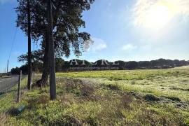 Excellent investment opportunity in Canha – Montijo